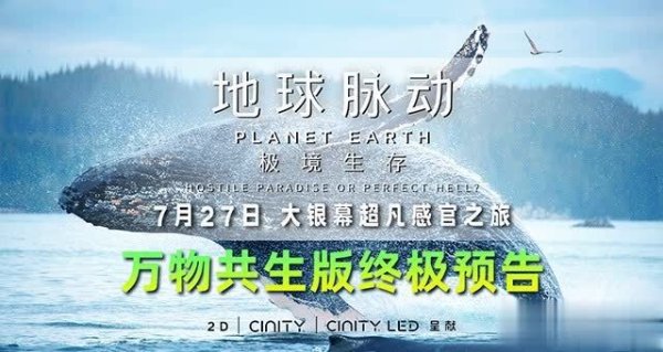 开云体育(中国)官方网站巴士底乐队（Bastille）亦倾情加盟音乐创作-kaiyun(开云)官方网站 登录入口