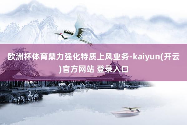 欧洲杯体育鼎力强化特质上风业务-kaiyun(开云)官方网站 登录入口