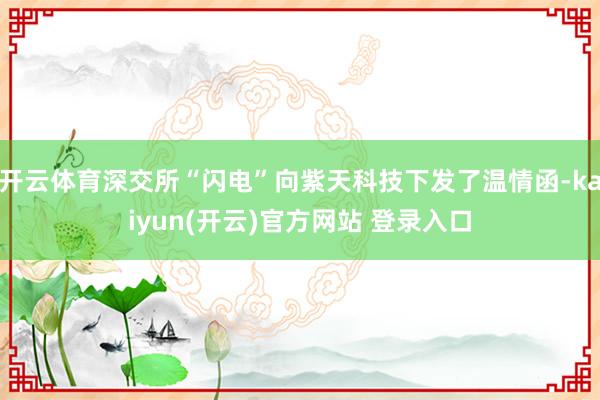 开云体育深交所“闪电”向紫天科技下发了温情函-kaiyun(开云)官方网站 登录入口