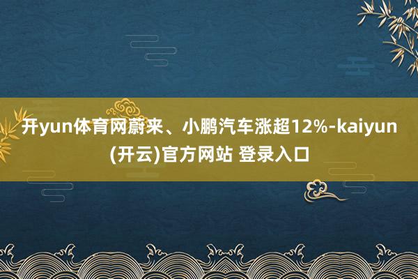 开yun体育网蔚来、小鹏汽车涨超12%-kaiyun(开云)官方网站 登录入口