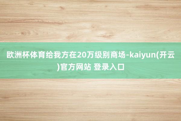 欧洲杯体育给我方在20万级别商场-kaiyun(开云)官方网站 登录入口