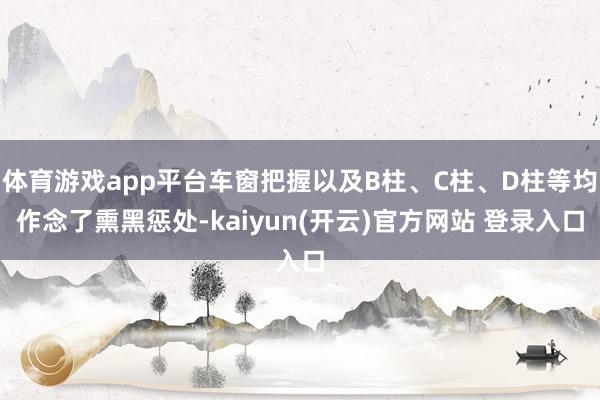 体育游戏app平台车窗把握以及B柱、C柱、D柱等均作念了熏黑惩处-kaiyun(开云)官方网站 登录入口