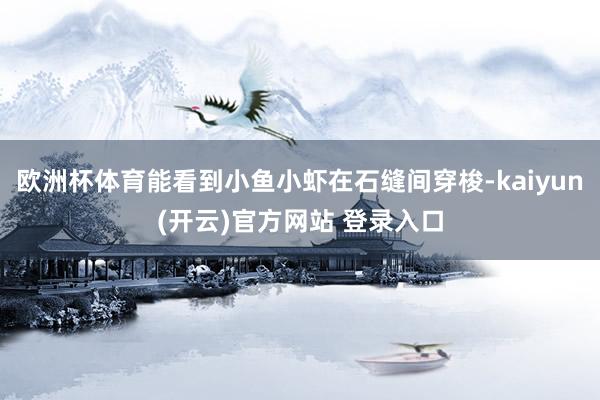欧洲杯体育能看到小鱼小虾在石缝间穿梭-kaiyun(开云)官方网站 登录入口