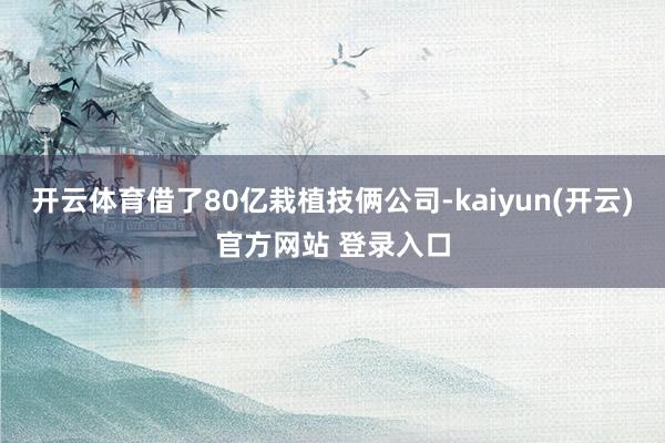 开云体育借了80亿栽植技俩公司-kaiyun(开云)官方网站 登录入口