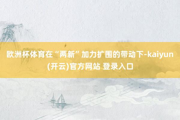 欧洲杯体育在“两新”加力扩围的带动下-kaiyun(开云)官方网站 登录入口