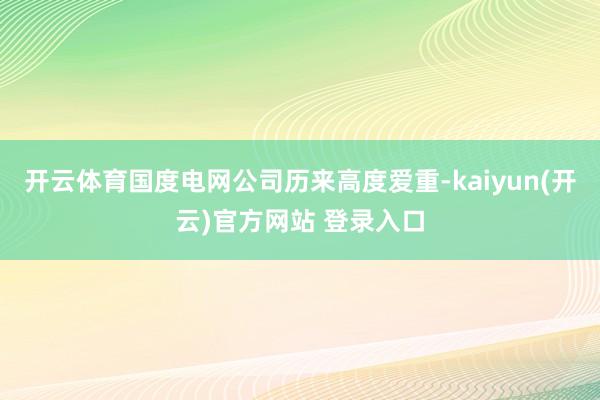 开云体育国度电网公司历来高度爱重-kaiyun(开云)官方网站 登录入口
