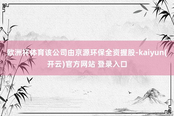 欧洲杯体育该公司由京源环保全资握股-kaiyun(开云)官方网站 登录入口