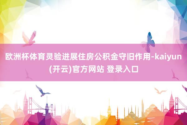 欧洲杯体育灵验进展住房公积金守旧作用-kaiyun(开云)官方网站 登录入口