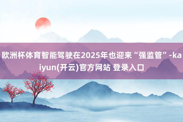欧洲杯体育智能驾驶在2025年也迎来“强监管”-kaiyun(开云)官方网站 登录入口