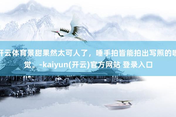 开云体育景甜果然太可人了，唾手拍皆能拍出写照的嗅觉。-kaiyun(开云)官方网站 登录入口