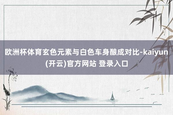 欧洲杯体育玄色元素与白色车身酿成对比-kaiyun(开云)官方网站 登录入口