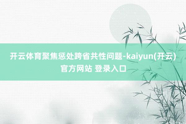 开云体育聚焦惩处跨省共性问题-kaiyun(开云)官方网站 登录入口