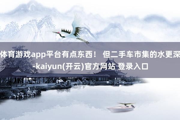 体育游戏app平台有点东西！ 但二手车市集的水更深-kaiyun(开云)官方网站 登录入口
