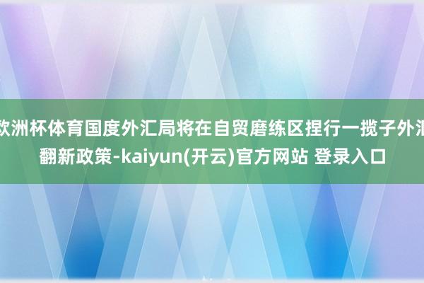 欧洲杯体育国度外汇局将在自贸磨练区捏行一揽子外汇翻新政策-kaiyun(开云)官方网站 登录入口