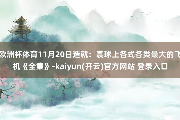 欧洲杯体育11月20日造就：寰球上各式各类最大的飞机《全集》-kaiyun(开云)官方网站 登录入口