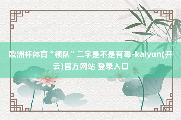 欧洲杯体育“领队”二字是不是有毒-kaiyun(开云)官方网站 登录入口