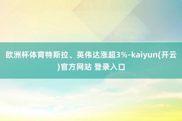 欧洲杯体育特斯拉、英伟达涨超3%-kaiyun(开云)官方网站 登录入口