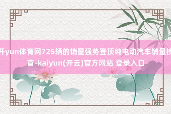 开yun体育网725辆的销量强势登顶纯电动汽车销量榜首-kaiyun(开云)官方网站 登录入口