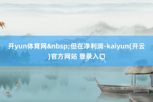 开yun体育网&nbsp;但在净利润-kaiyun(开云)官方网站 登录入口