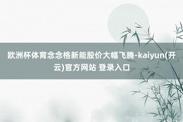 欧洲杯体育念念格新能股价大幅飞腾-kaiyun(开云)官方网站 登录入口