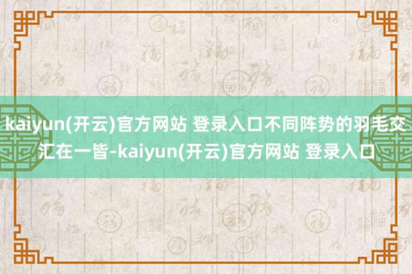 kaiyun(开云)官方网站 登录入口不同阵势的羽毛交汇在一皆-kaiyun(开云)官方网站 登录入口