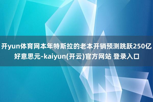 开yun体育网本年特斯拉的老本开销预测跳跃250亿好意思元-kaiyun(开云)官方网站 登录入口