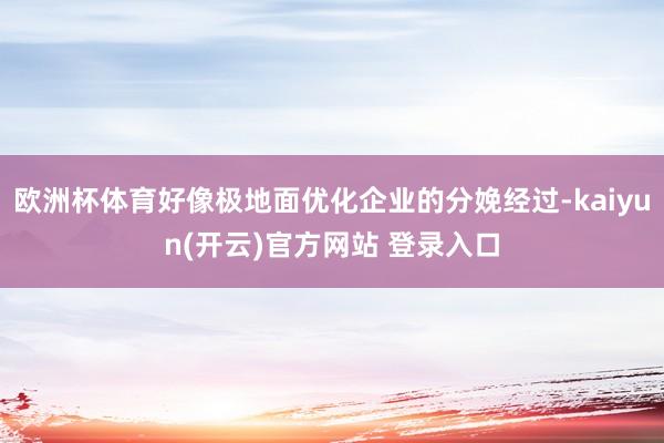 欧洲杯体育好像极地面优化企业的分娩经过-kaiyun(开云)官方网站 登录入口
