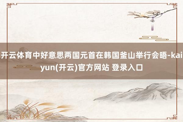 开云体育中好意思两国元首在韩国釜山举行会晤-kaiyun(开云)官方网站 登录入口