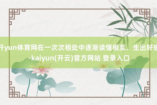 开yun体育网在一次次相处中逐渐读懂相互、生出好感-kaiyun(开云)官方网站 登录入口